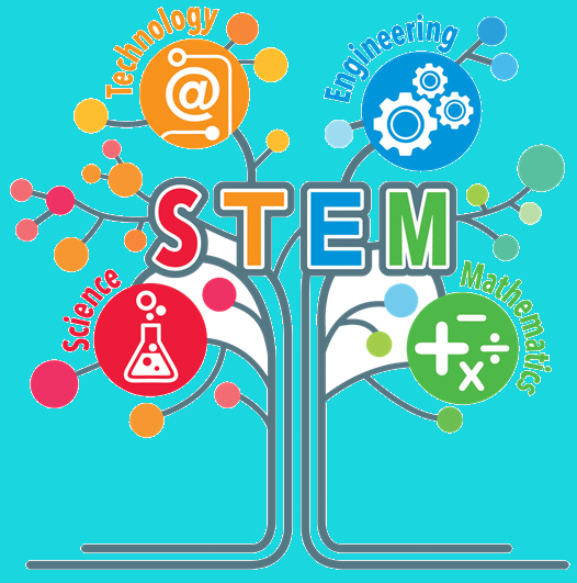 STEM STEM